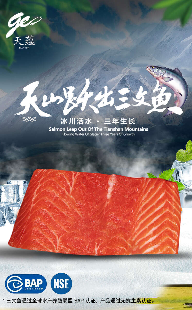 鱼段_01.jpg