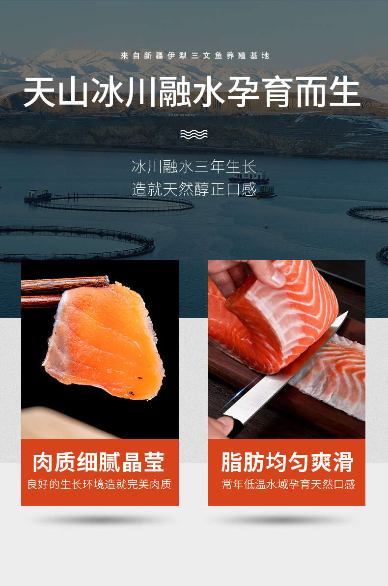 鱼段_03.jpg