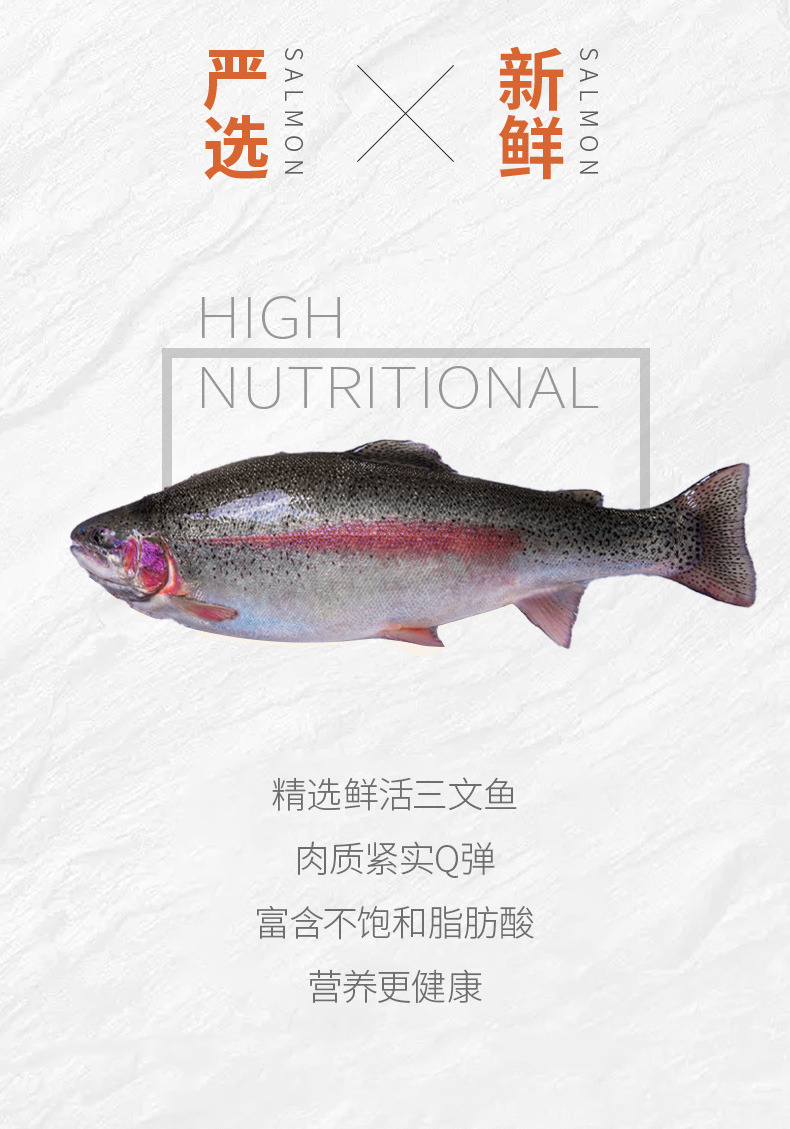 鱼段_06.jpg