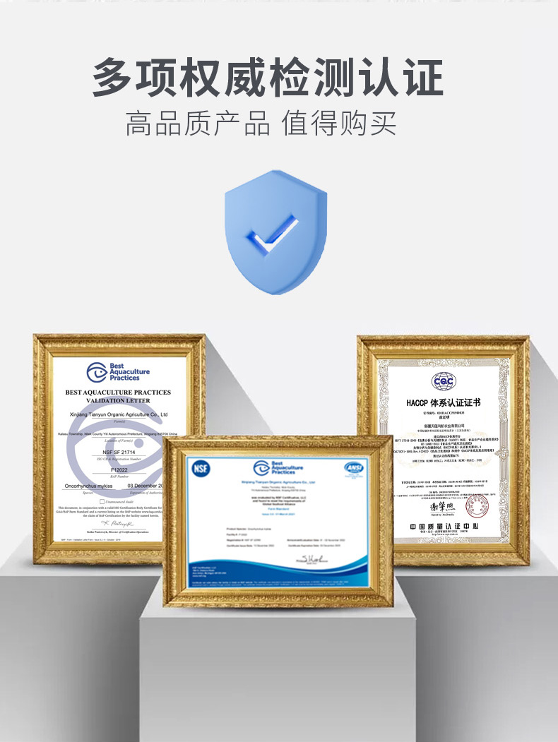 鱼段_09.jpg