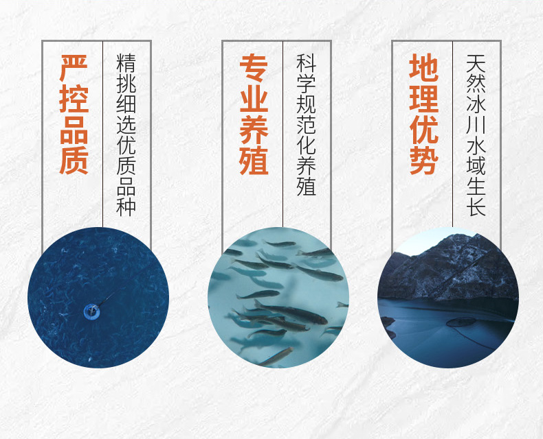 鱼段_05.jpg