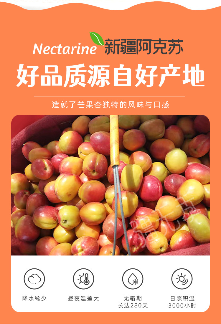 详情页 (2).jpg