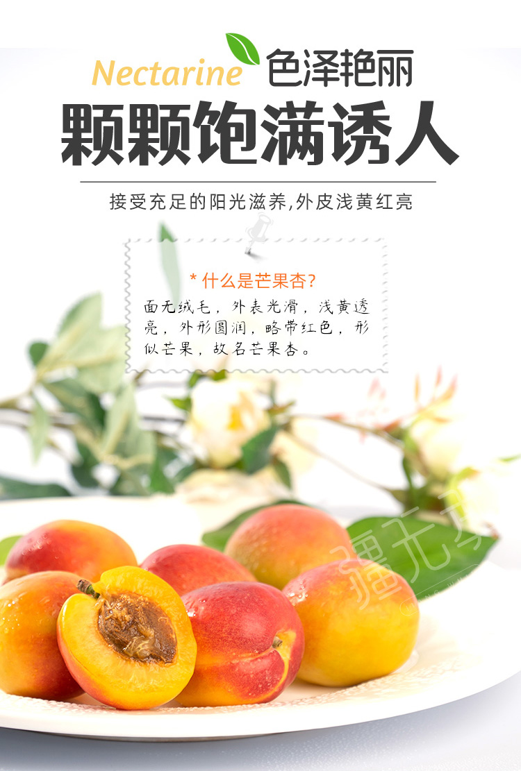 详情页 (3).jpg