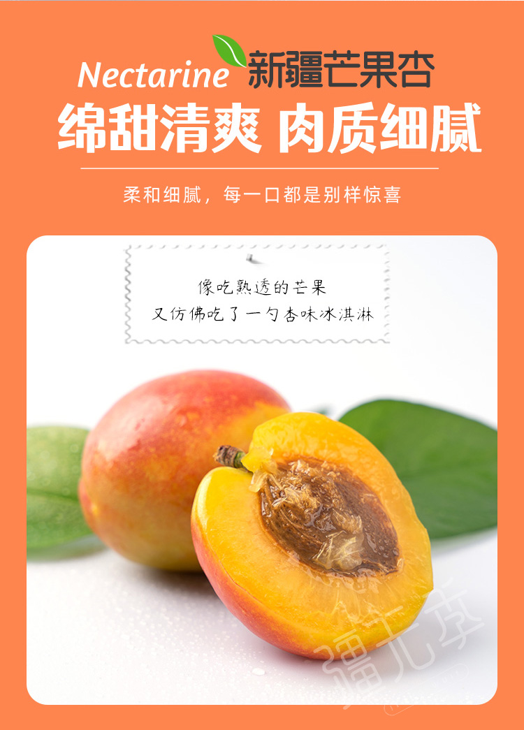 详情页 (4).jpg