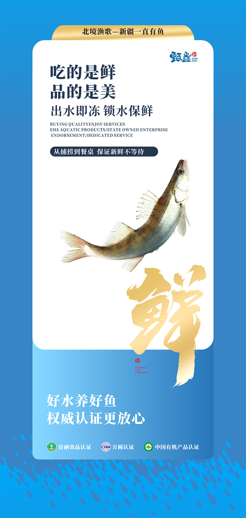 详情 (8).jpg