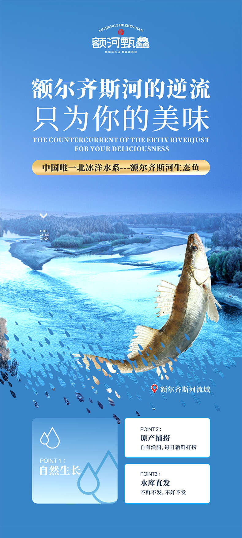 详情 (1).jpg