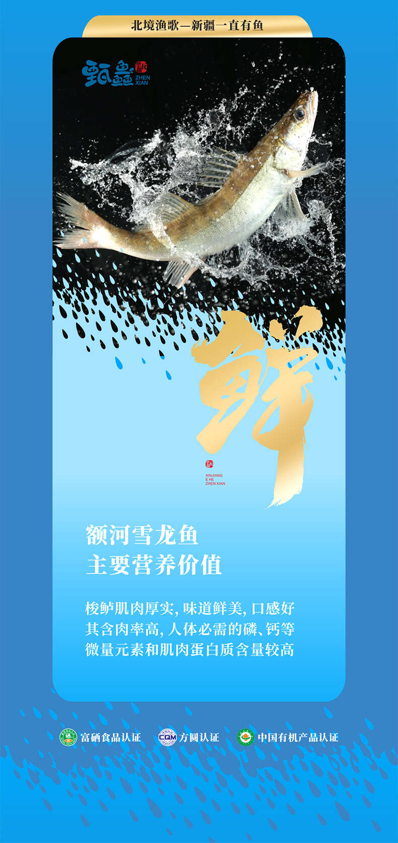 详情 (6).jpg