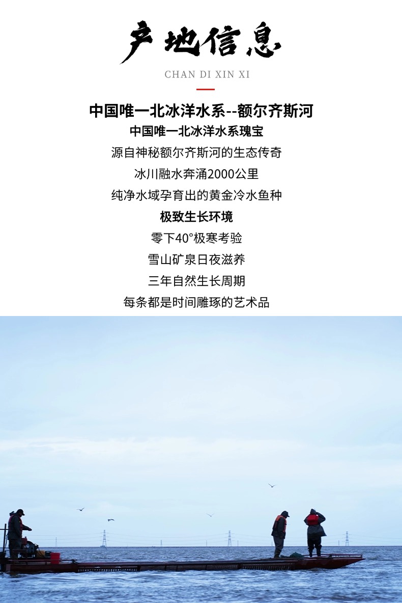 鱼丸 (3).jpg