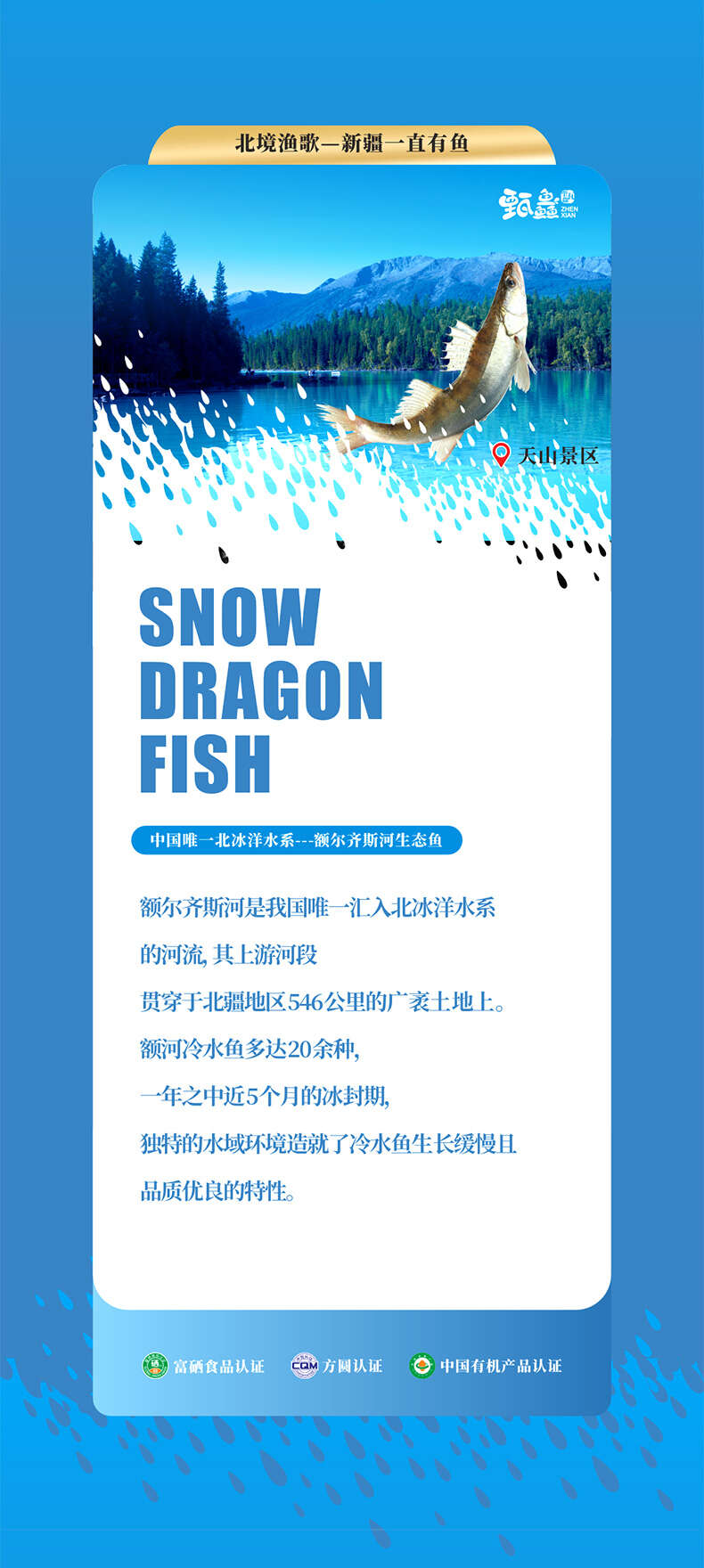 详情 (9).jpg
