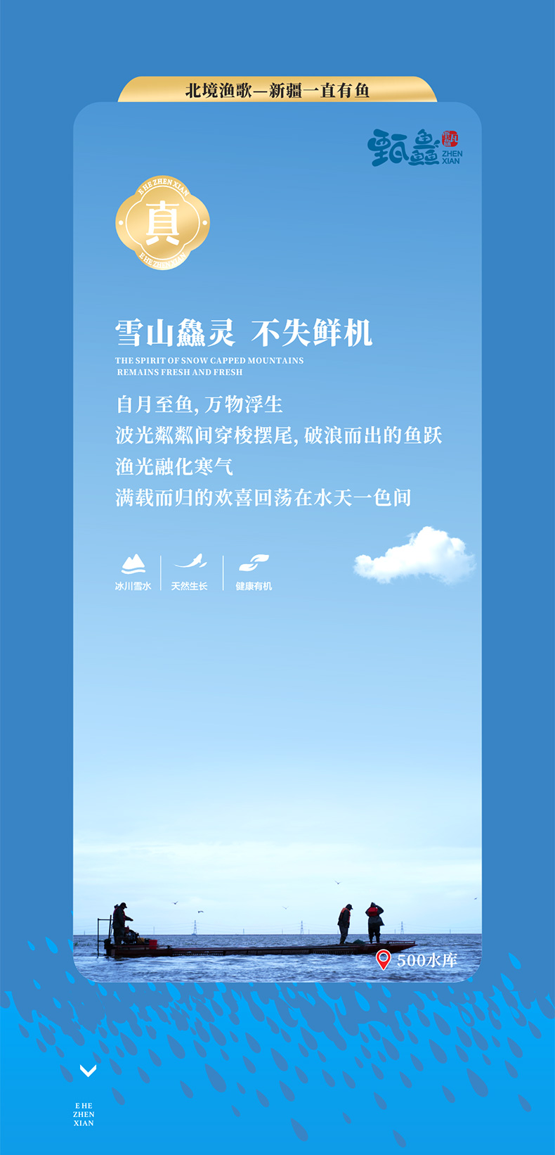 详情 (2).jpg