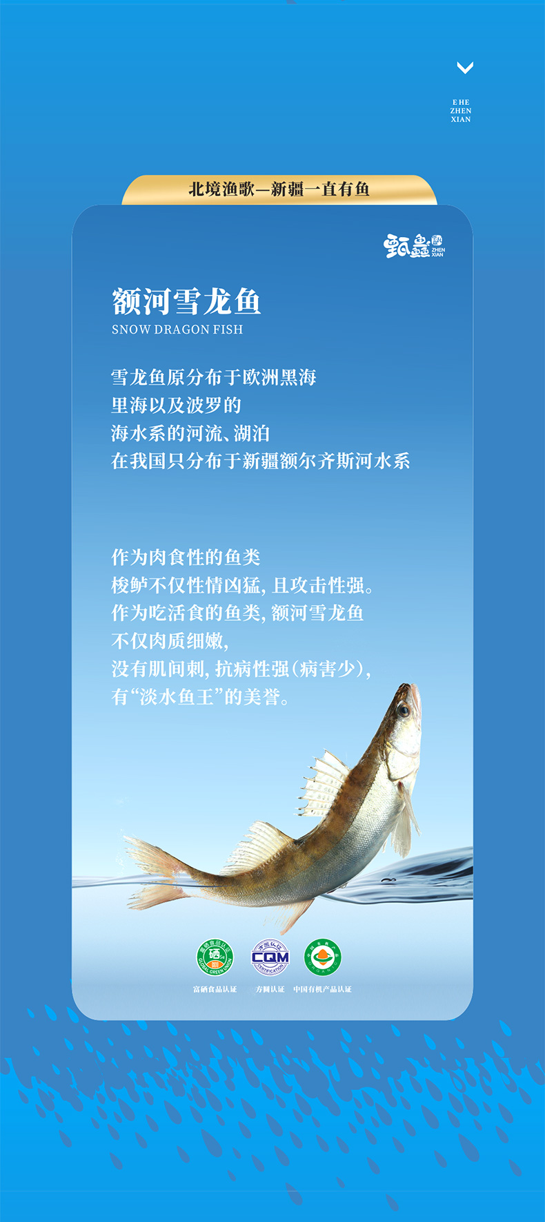 详情 (5).jpg